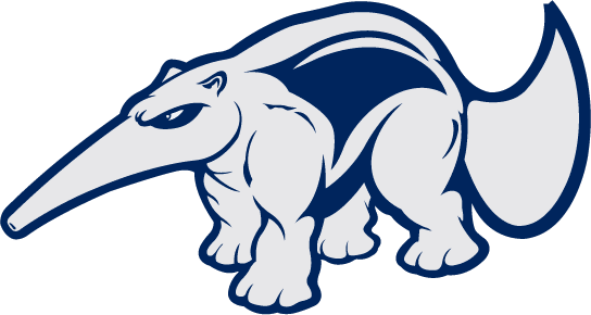 California-Irvine Anteaters 1991-2008 Mascot Logo iron on transfers for fabric